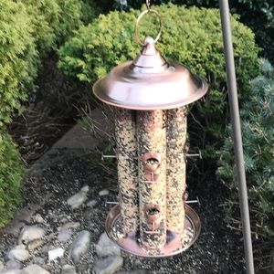 Meet your Posher, Sue